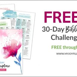 FREE 30-Day Bible Challenge Pack (FREE until 3/13/19!)