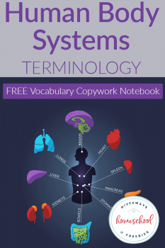 FREE Human Body Systems Terminology Notebook