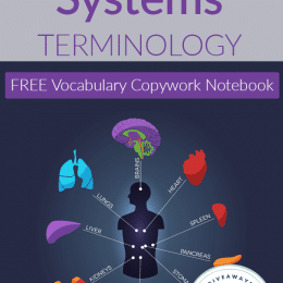 FREE Human Body Systems Terminology Notebook