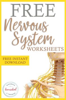 FREE Printable Nervous System Worksheets