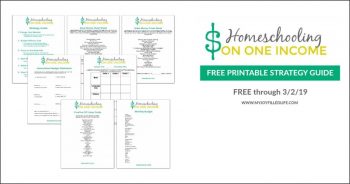 FREE Homeschooling on One Income Strategy Guide