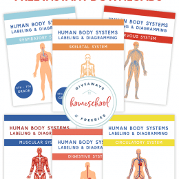 FREE Human Body Systems Labeling Sheets