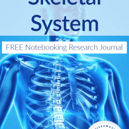 FREE Notebooking Research Journal: Diseases of the Skeletal System