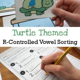 FREE R-Controlled Vowels Sorting Cards