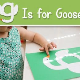 FREE G is for Goose Craft