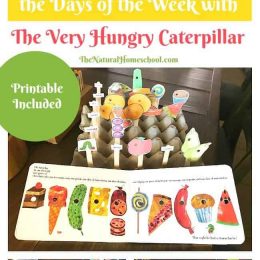 FREE The Very Hungry Caterpillar Lesson Printables