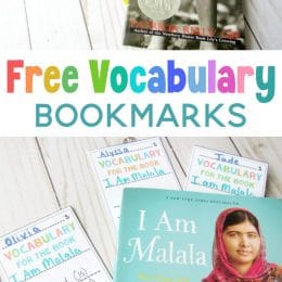 FREE Vocabulary Bookmarks for Independent Reading