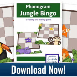 FREE Phonogram Jungle Bingo