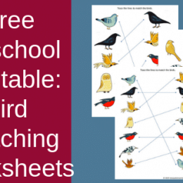 FREE Bird Matching Worksheets