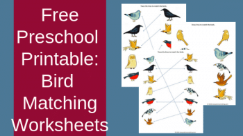 FREE Bird Matching Worksheets