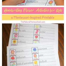 FREE Handwriting Flower Activities