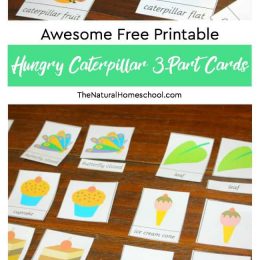 FREE Hungry Caterpillar 3-Part Cards