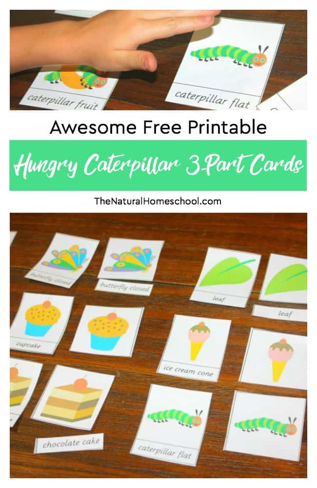 FREE Hungry Caterpillar 3-Part Cards