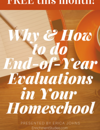 FREE Tips for End-of-Year-Evaluations + Workbook!