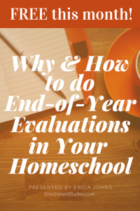 FREE Tips for End-of-Year-Evaluations + Workbook!