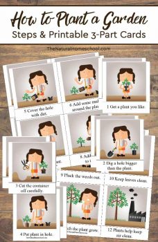 FREE How to Plant a Garden Cards