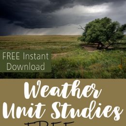 FREE Weather Unit Studies: Thunderstorms