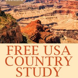 FREE USA Country Study