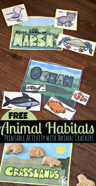 FREE Animal Habitats Activity