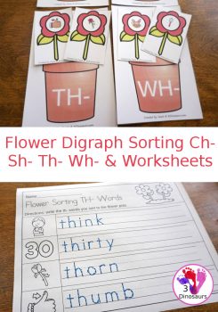 FREE Flower Digraph Sorting Activity & Worksheets