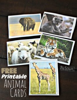 FREE Montessori-Inspired Activity + Animal Cards!