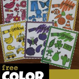 FREE Printable Color Words Flashcards