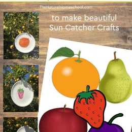 FREE Hungry Caterpillar Sun Catcher Craft Templates