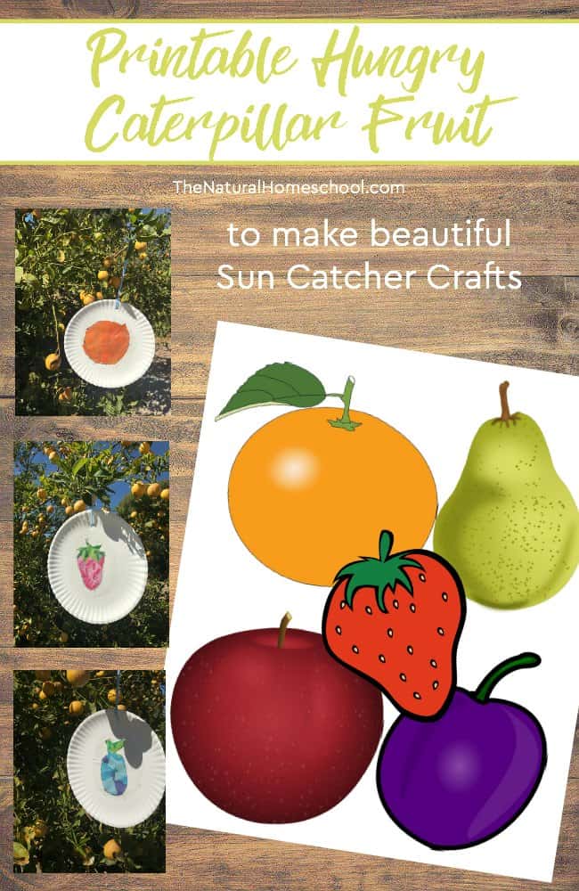 FREE Hungry Caterpillar Sun Catcher Craft Templates