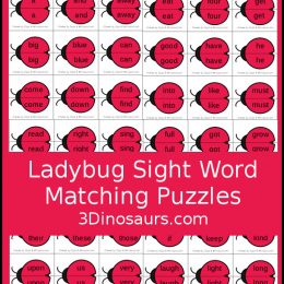 FREE Ladybug Sight Word Matching Puzzles