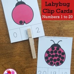 FREE Ladybug Number Clip Cards