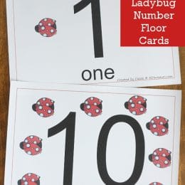 FREE Ladybug Floor Numbers (1-10)
