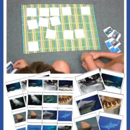 FREE Shark Memory Game