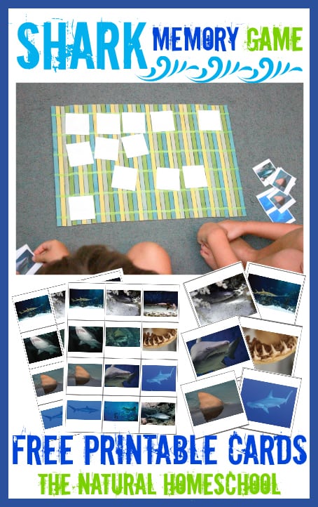 Shark Facts Memory Game: Playing Match Games to Make Learning Fun