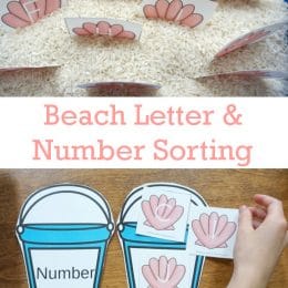 FREE Beach-Themed Number and Letter Sorting Activity