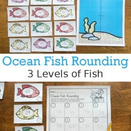 FREE Ocean Fish Rounding Activity