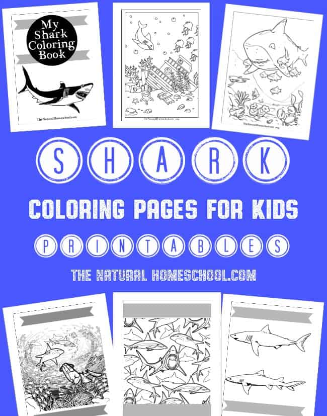 FREE Shark Coloring Pages