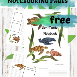 FREE Sea Turtle Notebooking Pages