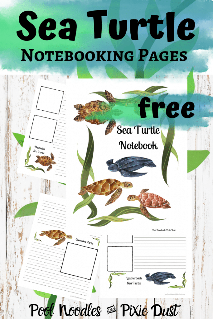 FREE Sea Turtle Notebooking Pages