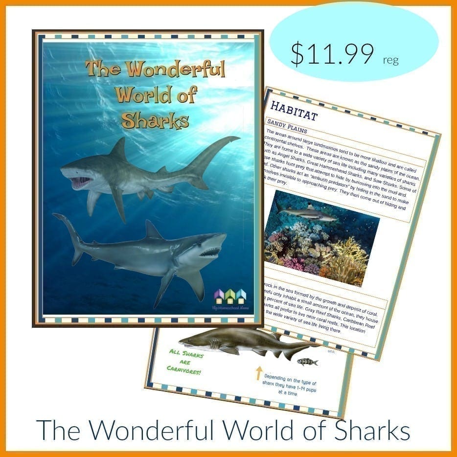 FREE The Wonderful World of Sharks Workbook!