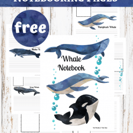 FREE Whale Notebooking Pages