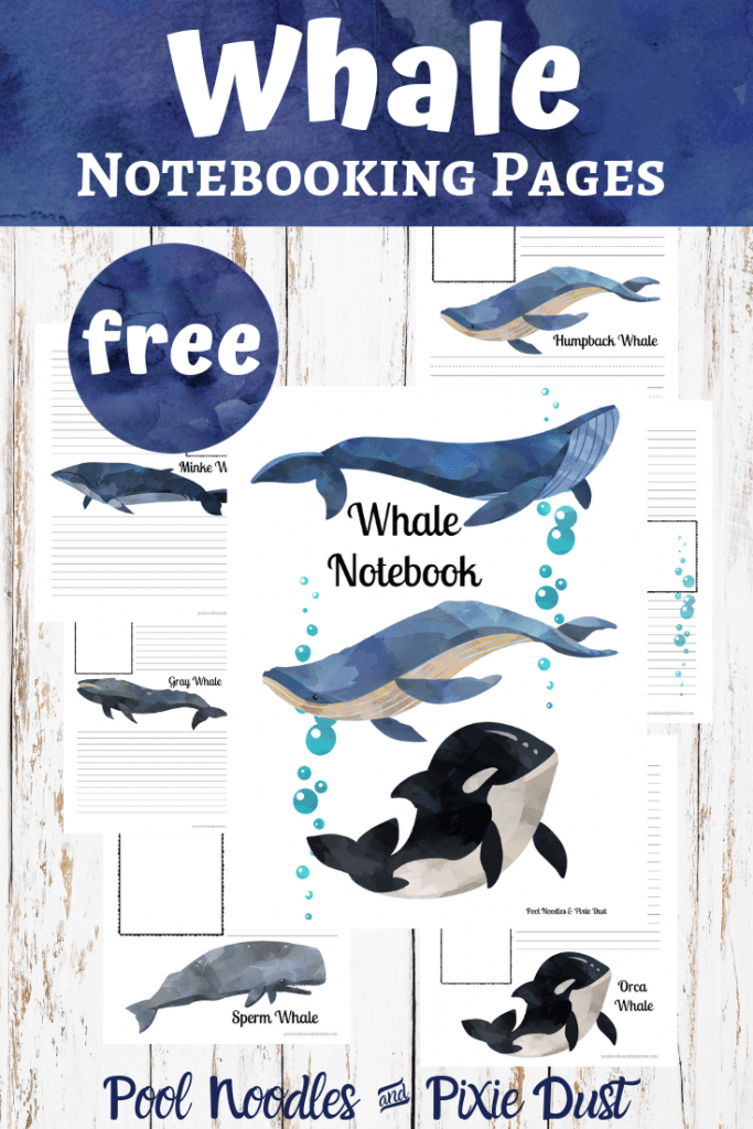 FREE Whale Notebooking Pages