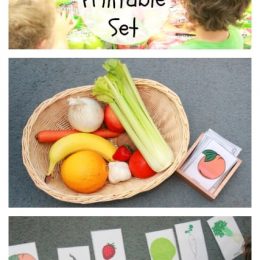 FREE Printable Set: All About Fruits & Vegetables