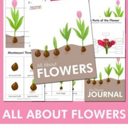 FREE All About Flowers Unit Study