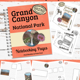 Build fun geography lessons with these FREE Grand Canyon Notebooking Pages! #fhdhomeschoolers #freehomeschooldeals #hsfreebies #hsdays #homeschoolers