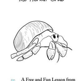 FREE Hermit Crab Unit Study