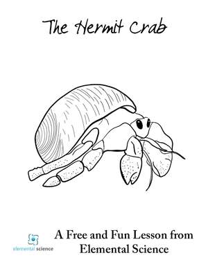 FREE Hermit Crab Unit Study