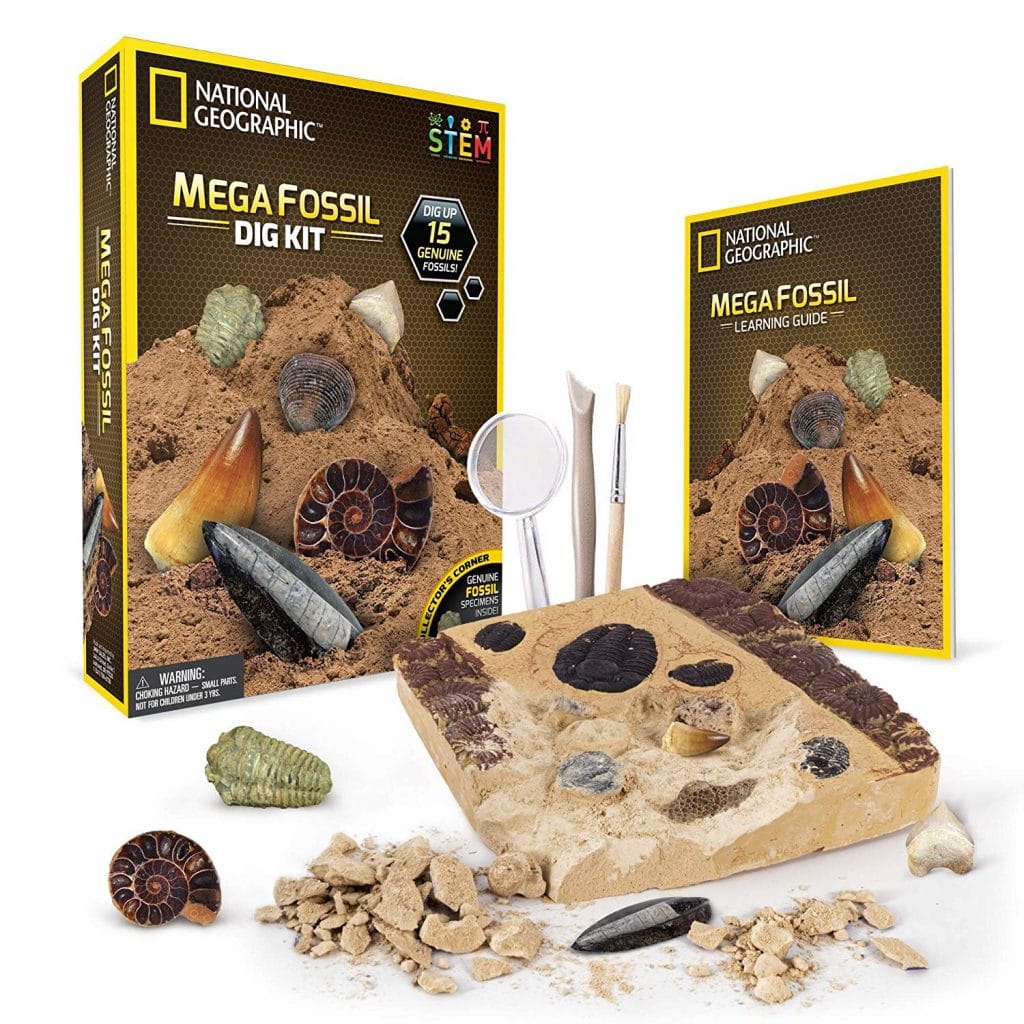 Get digging! 43% Off National Geographic Fossil Dig Kit! #fhdhomeschoolers #freehomeschooldeals #archaeology #fossils #hsdays