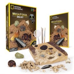 Get digging! 43% Off National Geographic Fossil Dig Kit! #fhdhomeschoolers #freehomeschooldeals #archaeology #fossils #hsdays