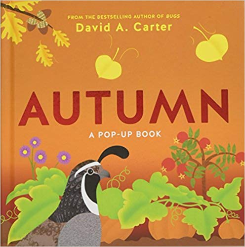 Amazon Deal: 30% Off Autumn: A Pop-Up Book #fhdhomeschoolers #freehomeschooldeals #amazondeals #autumnresources #homeschoolreading