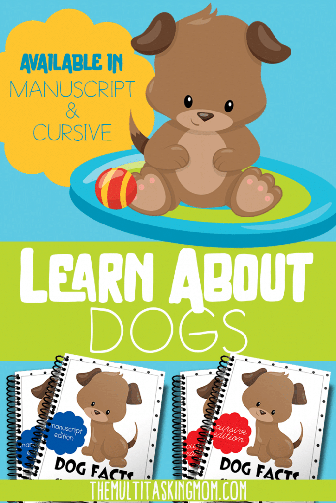 Did you know the Labrador is the most popular dog in the world? Learn this and more in the FREE Dogs Color & Copywork pack. Available in manuscript and cursive. #dogs #copywork #freehomeschooldeals #fhdhomeschoolers